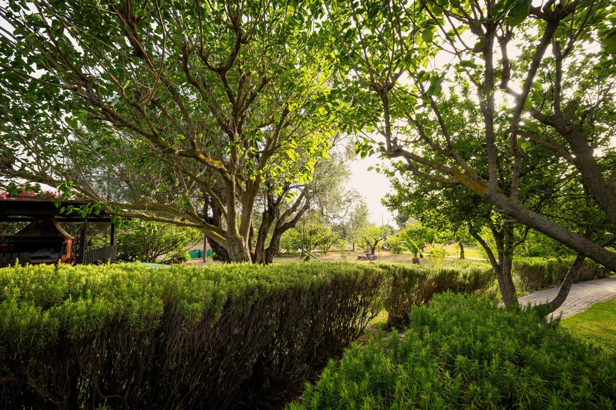 Villehardouin Farm Estate, Studios & Apartments, Minia, Kefalonia Αργοστόλι Εξωτερικό φωτογραφία